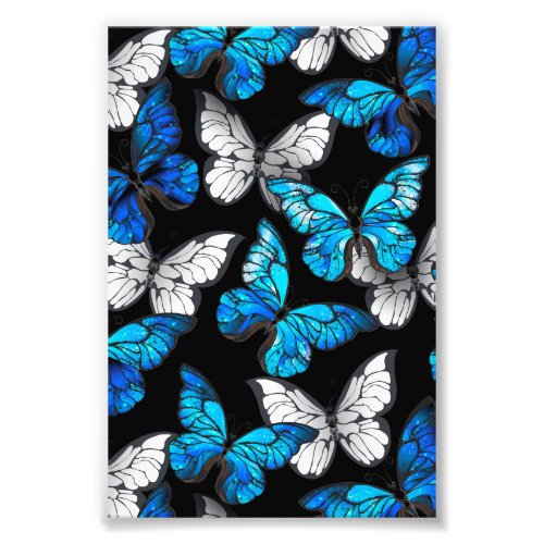 Dark Seamless Pattern with Blue Butterflies Morpho Photo Print