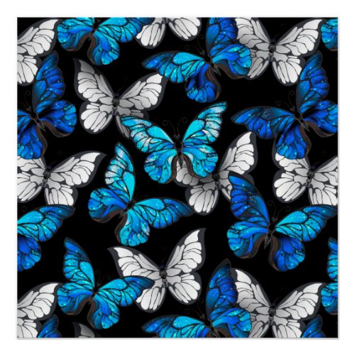 Dark Seamless Pattern with Blue Butterflies Morpho Poster