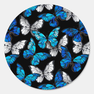 Dark Seamless Pattern with Blue Butterflies Morpho Sign