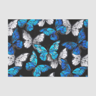 Dark Seamless Pattern with Blue Butterflies Morpho Tissue Paper