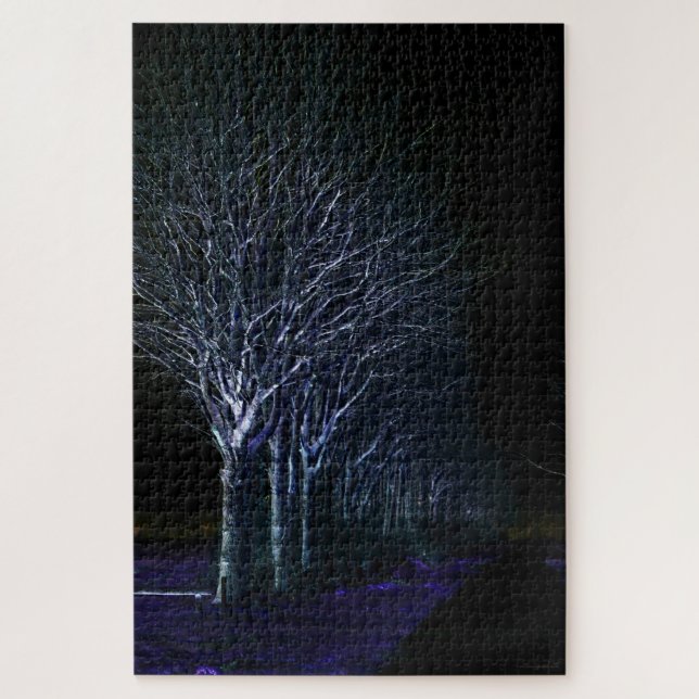 Dark Side 10 20x30 1014pc jpm Jigsaw Puzzle (Vertical)