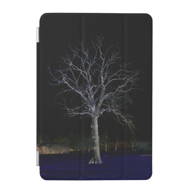 Dark Side 11 ipacna iPad Mini Cover (Front)