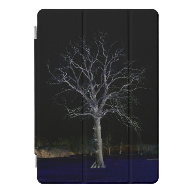 Dark Side 11 ipacnm iPad Pro Cover (Front)