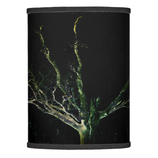 Dark Side 1 lscna Lamp Shade (Front)