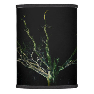 Dark Side 1 lscnm Lamp Shade