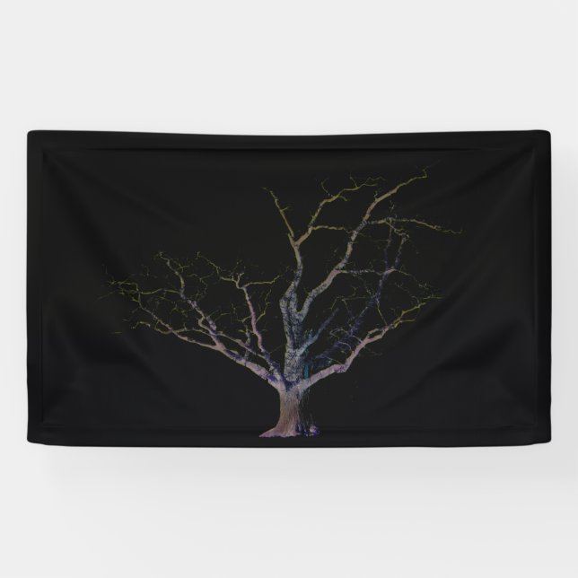 Dark Side 2 bnrcnm Banner (Horizontal)