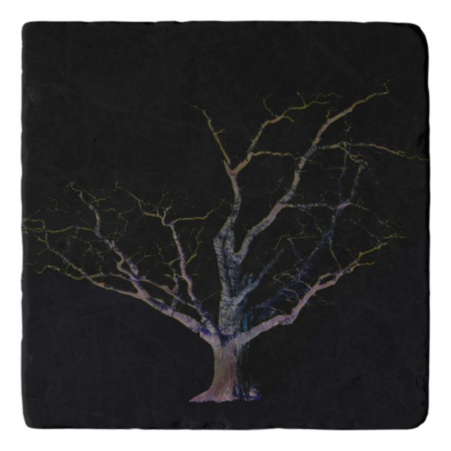 Dark Side 2 coastercnm Trivet (Front)