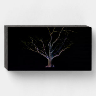 Dark Side 2 wbs8x4cna Wooden Box Sign