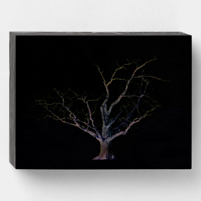 Dark Side 2 wbs8x6cna Wooden Box Sign (Front Horizontal)