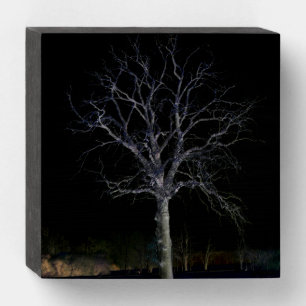 Dark Side 3 wbs6x6cna Wooden Box Sign