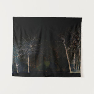 Dark Side 4 wtcnm Tapestry