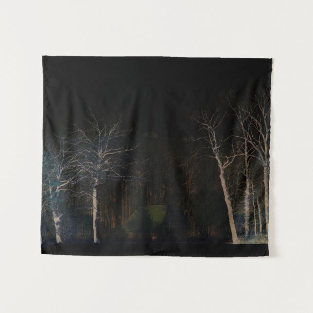 Dark Side 4 wtcnm Tapestry (Front (Horizontal))