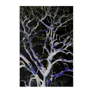 Dark Side 5 24x36 (60x90cm) waacnm Acrylic Print