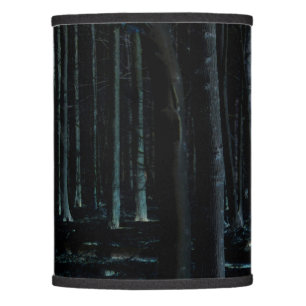 Dark Side 6 lscnm Lamp Shade