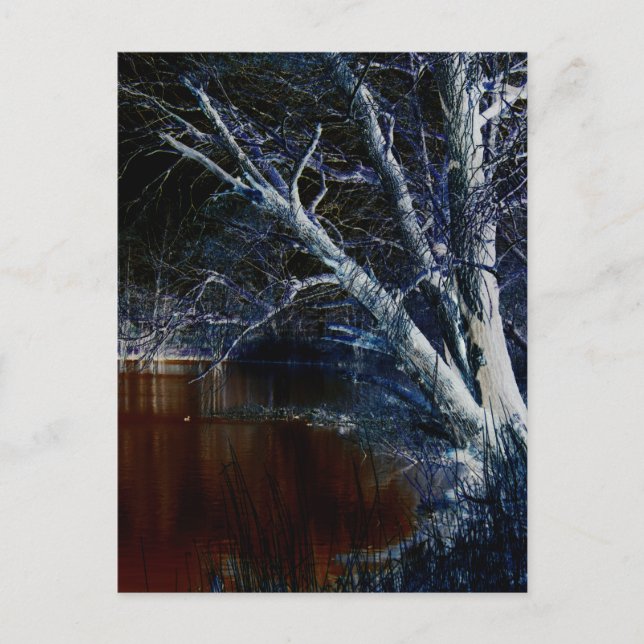 Dark Side 7 pccnm Postcard (Front)