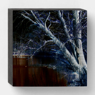 Dark Side 7 wbs6x6cnm Wooden Box Sign