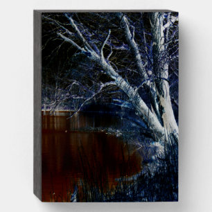 Dark Side 7 wbs8x6m Wooden Box Sign