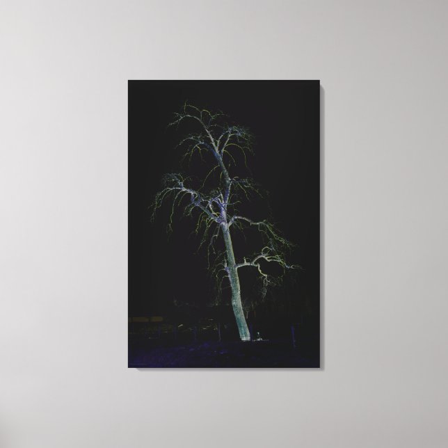 Dark Side 8 24x36 (60x90cm) waccnm Canvas Print (Front)