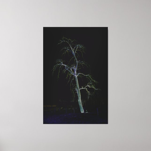 Dark Side 8 40x60 (100x150cm) waccnm Canvas Print (Front)