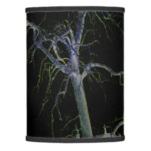 Dark Side 8 lscnm Lamp Shade