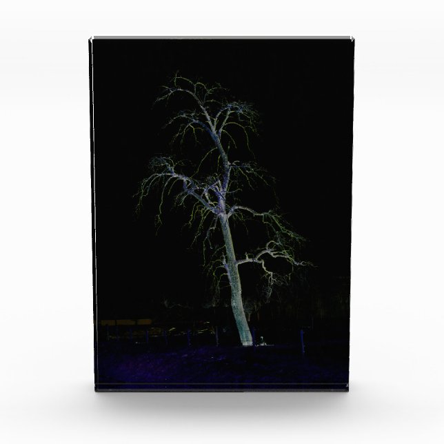 Dark Side 8 pbcna Photo Block (Front)