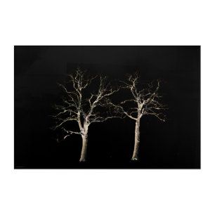 Dark Side 9 36x24 (90x60cm) waacna Acrylic Print