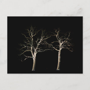 Dark Side 9 pccnm Postcard