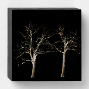 Dark Side 9 wbs6x6m Wooden Box Sign