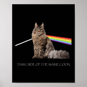 Dark Side Of The Maine Coon Cat Lover Poster
