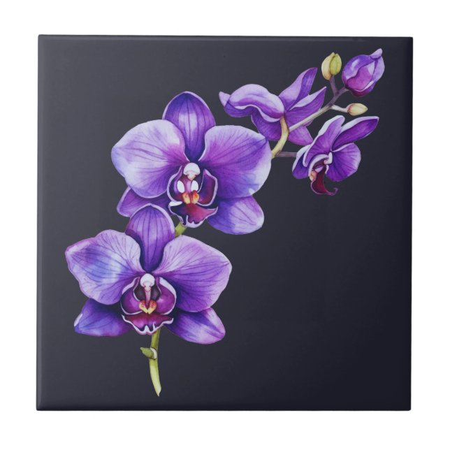 Dark Slate Gray, Purple Orchid Ceramic Tile (Front)