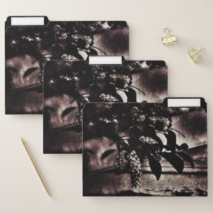 Dark Spring File Folder