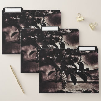 Dark Spring File Folder