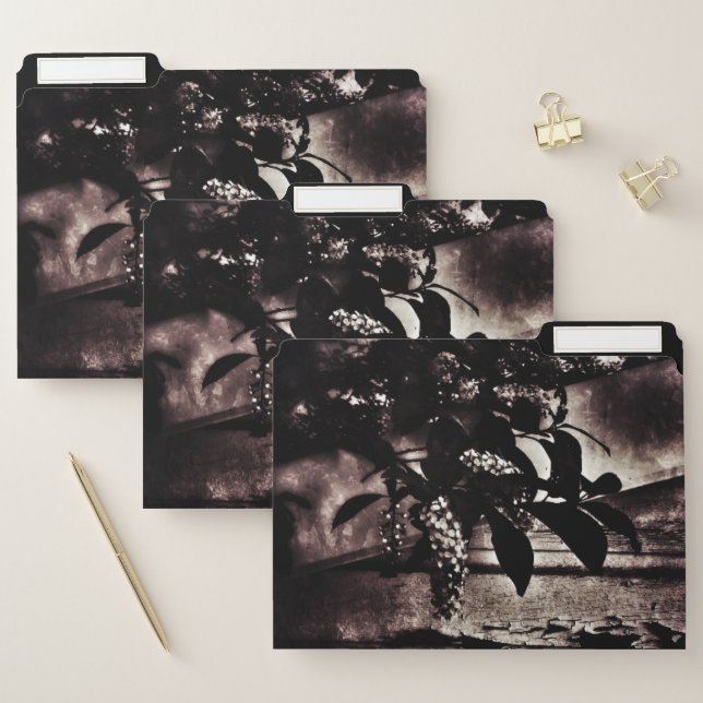 Dark Spring File Folder (Set)