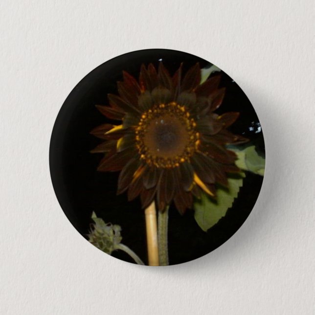 Dark Sunflower at Night Button (Front)