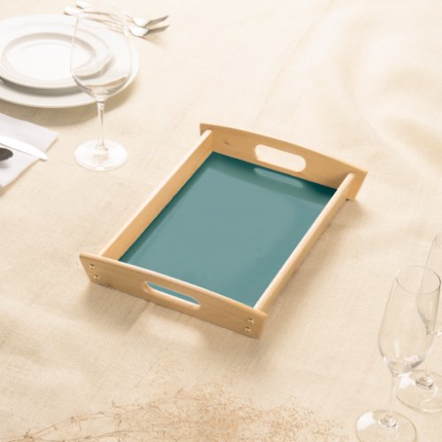  Dark Teal  solid color  Serving Tray