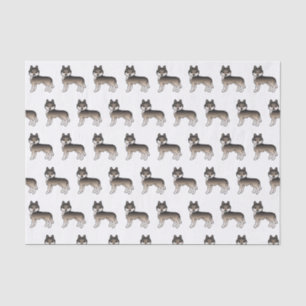 Dark Wolf Grey Siberian Husky Cute Dog Pattern Tissue Paper