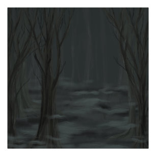 Dark Woods Photo Print