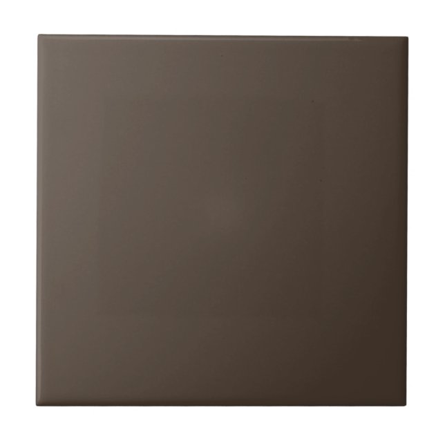 Darkened Clove Square Kitchen and Bathroom Ceramic Tile (Front)