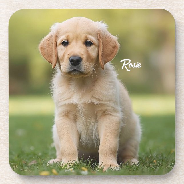 Darling Golden Retriever Personalized Coaster Set (Front)