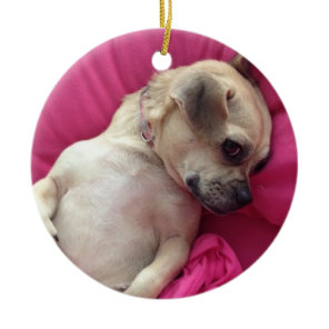 Darling Puppy Chug Dog Christmas Ornament Pink