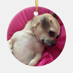 Darling Puppy Chug Dog Christmas Ornament Pink