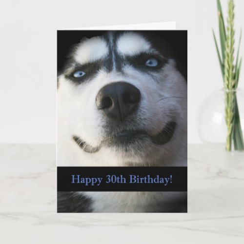 Darling Smiling Husky Funny 30th Birthday Card