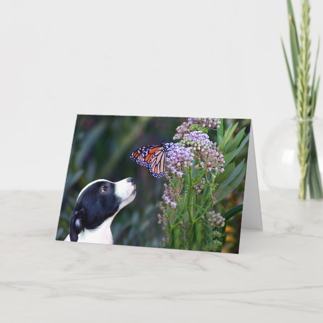 Darling Thank You For Pet Sitting (Front)