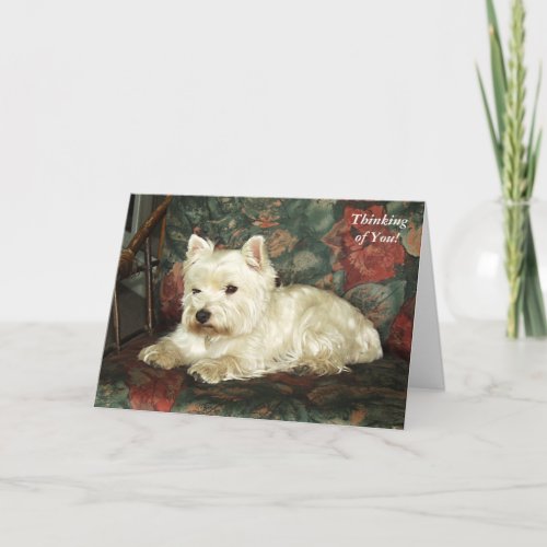 Darling West Highland Terrier Thinking of You Card