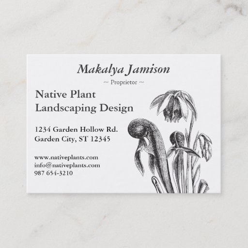 Customizable Darlingtonia californica, Carnivorous Plant Business Card