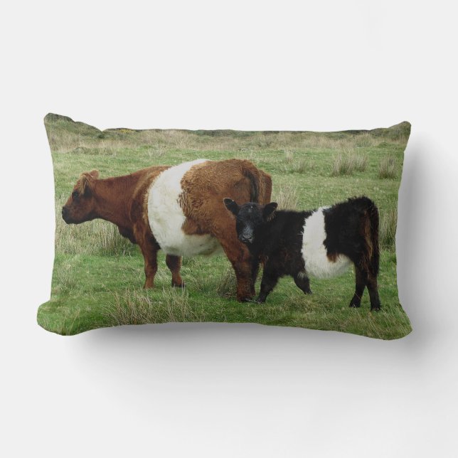 Darmoor Belted Galloway Cow And Calf Lumbar Pillow (Front)