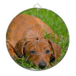 Dart Board - Customized