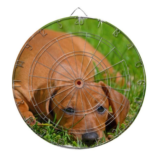 Dart Board - Customized (Front)