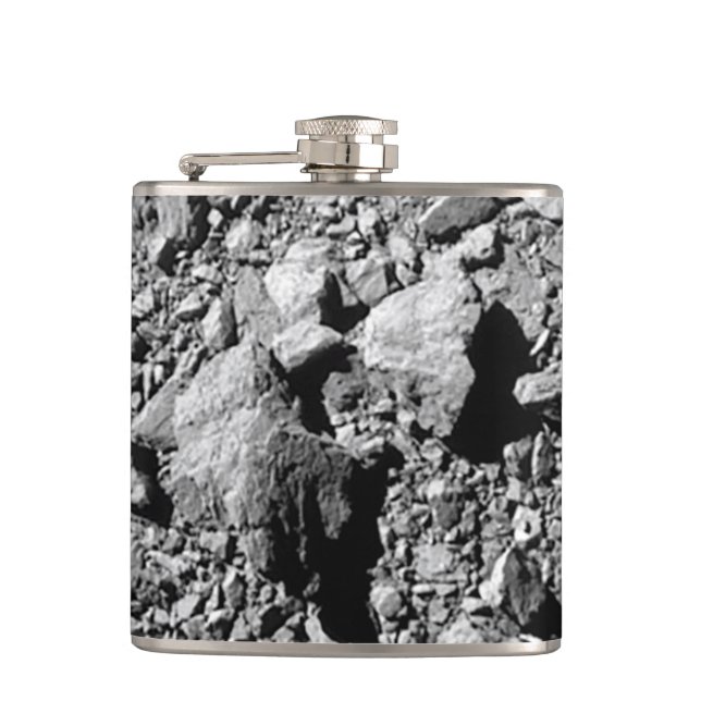 DART Dimorphos Asteroid Moonlet Surface Flask (Front)