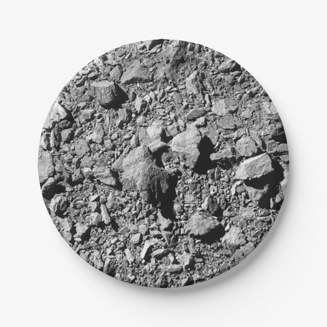 DART Dimorphos Asteroid Moonlet Surface Paper Plates (Front)